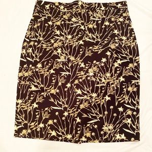 Woman’s banana Republic skirt size 12